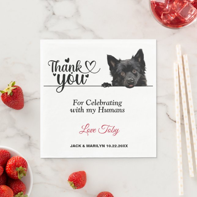 Schipperke Dog Paper Napkins Serviette (Beispiel)