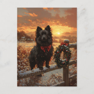 Schipperke Dog Rustic Winter Sunset Postkarte