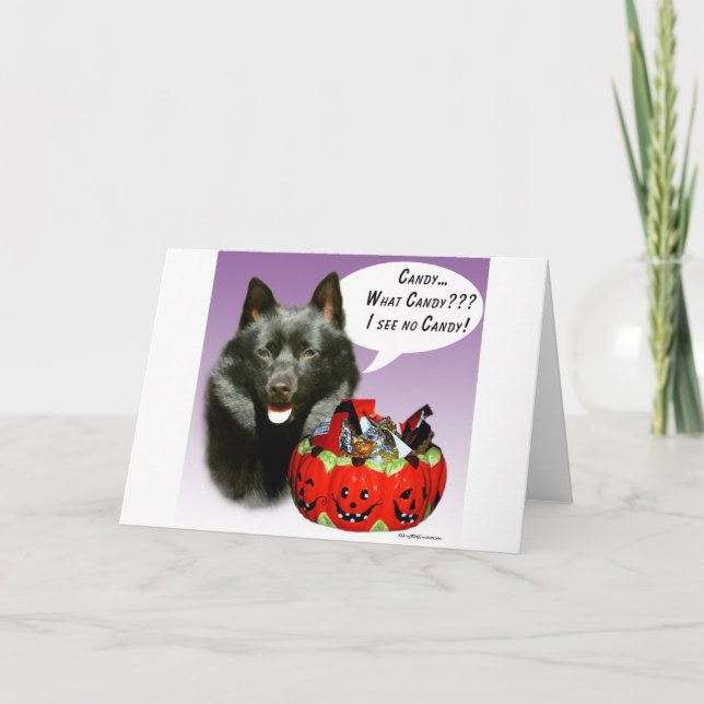 Schipperke Halloween Candy Karte (Vorderseite)