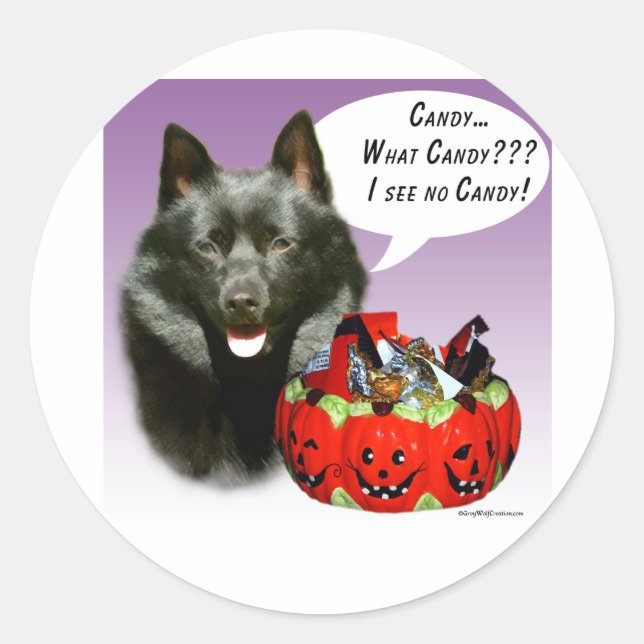 Schipperke Halloween Candy Runder Aufkleber (Vorderseite)