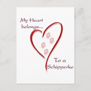 Schipperke Heart Belongs Postkarte