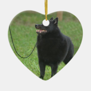 Schipperke-Hund Keramikornament