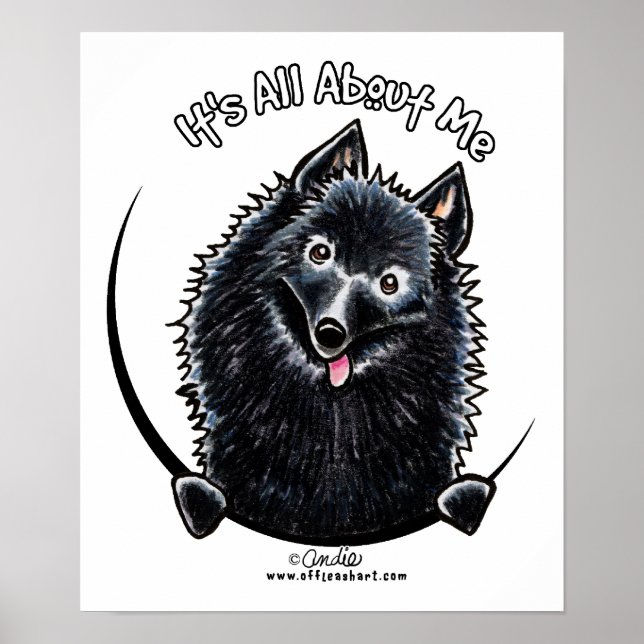 Schipperke IAAM Poster (Vorne)
