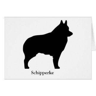Schipperke-Karte