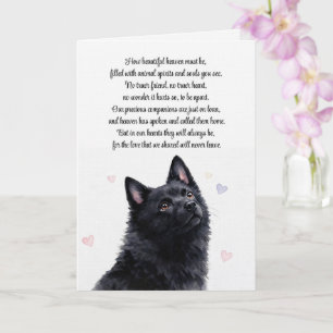 Schipperke-Mitleid Verlust Spiritualität Karte