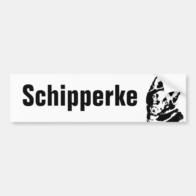 Schipperke Picture Autoaufkleber (Vorne)