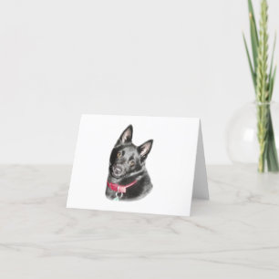 Schipperke Picture Blank Card Karte
