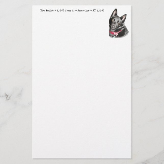 Schipperke Picture Briefpapier (Vorderseite)