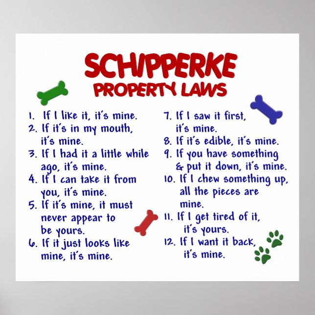 SCHIPPERKE PL2 POSTER (Vorne)