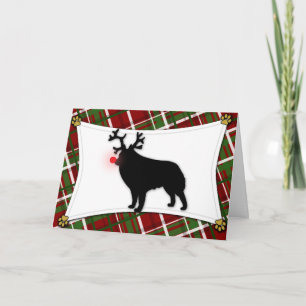Schipperke Reindeer Weihnachtskarte Feiertagskarte