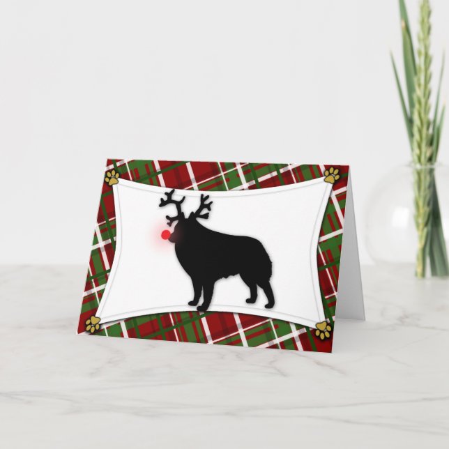 Schipperke Reindeer Weihnachtskarte Feiertagskarte (Vorderseite)