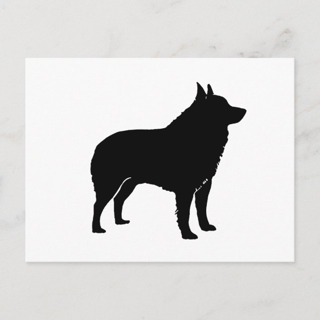 Schipperke Silhouette.png Postkarte (Vorderseite)