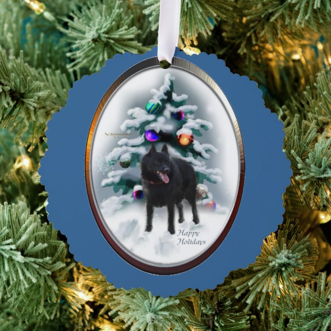Schipperke Weihnachtsgeschenke Ornament Karte (Insitu (Baum))