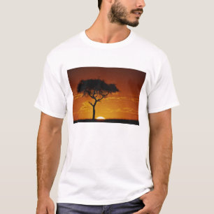 Schirmakazie, Acacia tortilis, T-Shirt