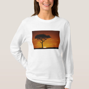 Schirmdornakazie, Acacia tortilis, T-Shirt