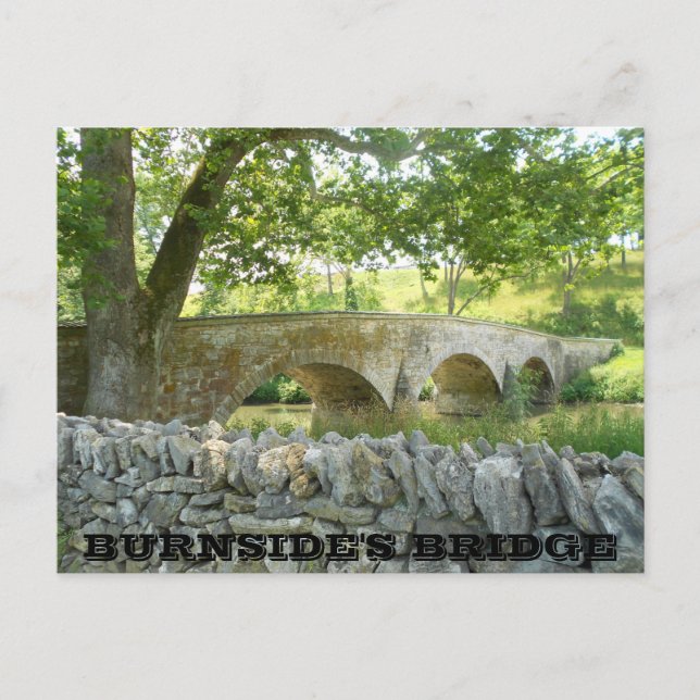 Schlacht von Antietam: Burnside's Bridge Postkarte (Vorderseite)