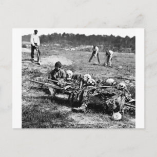 Schlacht von Cold Harbour, 1864 Postkarte
