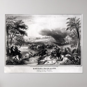 Schlacht von Palo Alto Poster