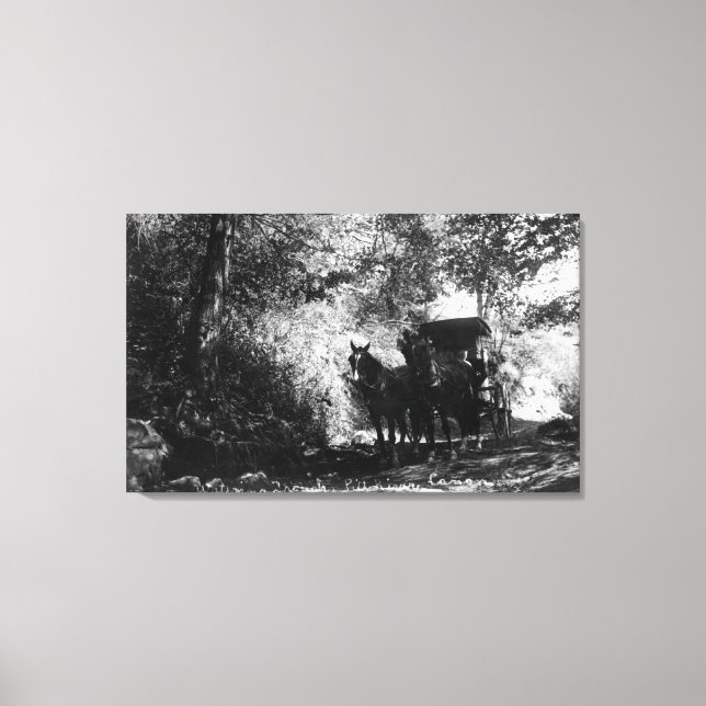 Schlachtpferde Leinwanddruck (Vorderseite)