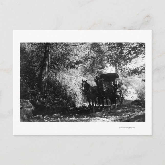 Schlachtpferde Postkarte (Vorderseite)