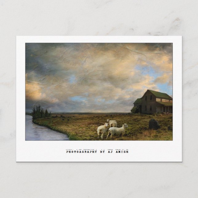 Schlachtung - postkarte (Vorderseite)