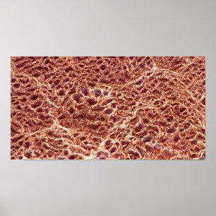 Schlacken auf Sand-Bar mit getrocknetem Schmutz II Poster