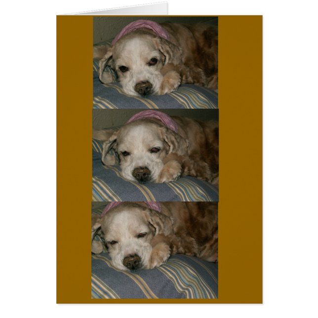 Schlaf bei Seattle (Vorne)