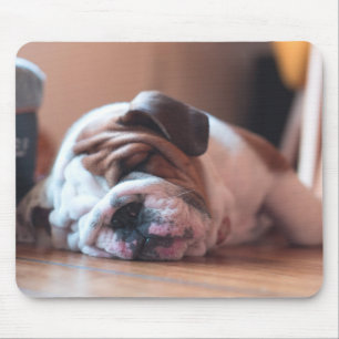 Schlaf-Bulldogge und Weiße Welpe Mousepad