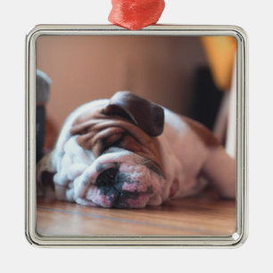 Schlaf-Bulldogge und Weiße Welpe Ornament Aus Metall