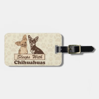 Schlaf mit Chihuahua