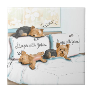 Schlaf mit Yorkies durch Catia Cho Fliese