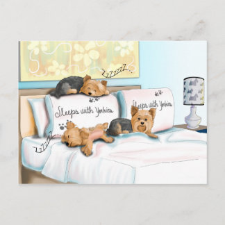 Schlaf mit Yorkies durch Catia Cho Postkarte