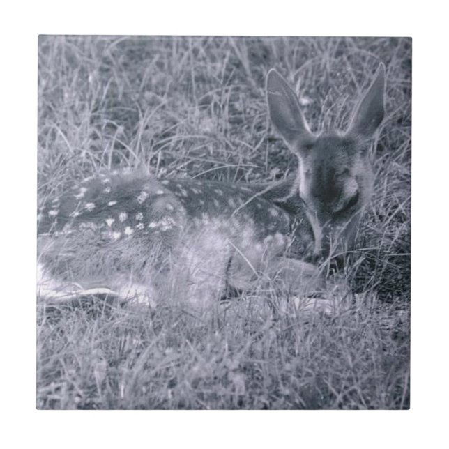 Schlafanzug Fliese (Vorderseite)