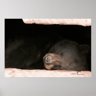 Schlafbär 2 poster