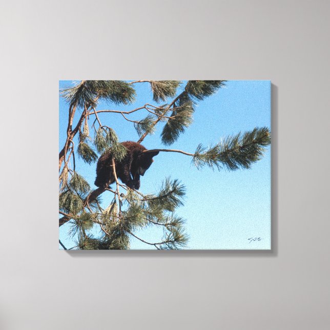 Schlafbärenkuppe Leinwanddruck (Vorderseite)