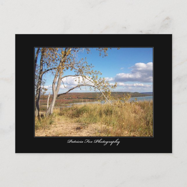 Schlafbärentücher 1 - Postkarte (Vorderseite)