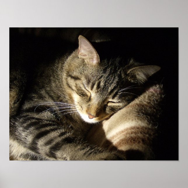 Schlafbehagen Poster (Vorne)