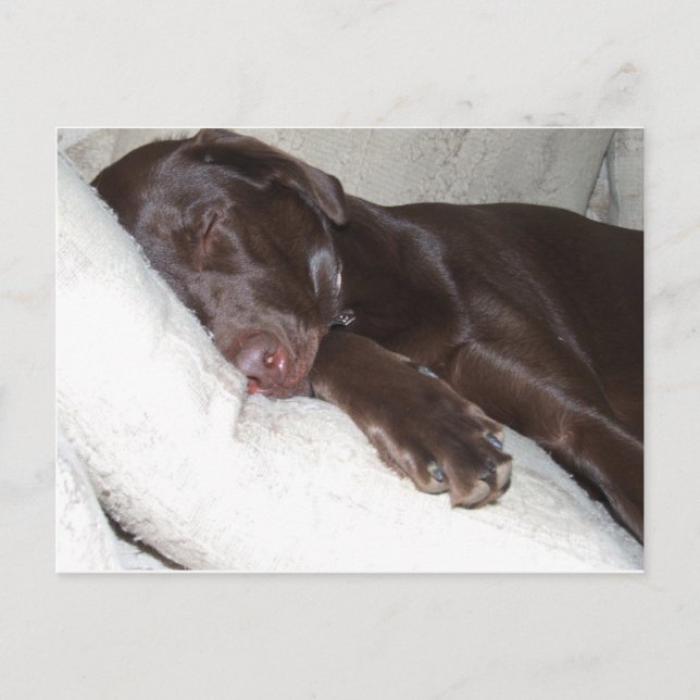 Schlafbehagen Postkarte (Vorderseite)