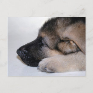 Schlafcouch Postkarte
