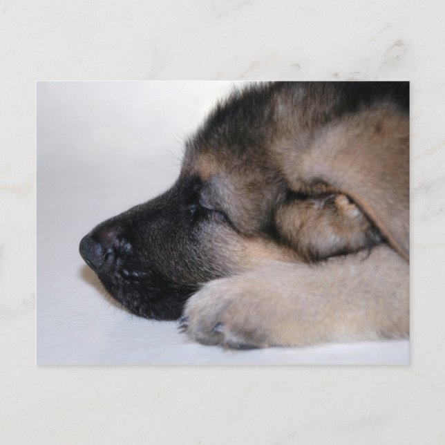 Schlafcouch Postkarte (Vorderseite)
