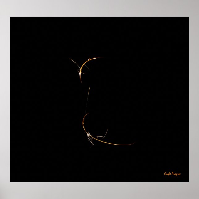 Schlafdragon Poster (Vorne)