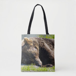 Schlafen Alaska Grizzly Bär