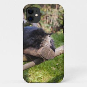 Schlafen Binturong Case-Mate iPhone Hülle