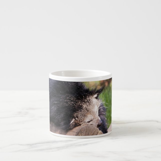 Schlafen Binturong Espressotasse (Vorderseite)