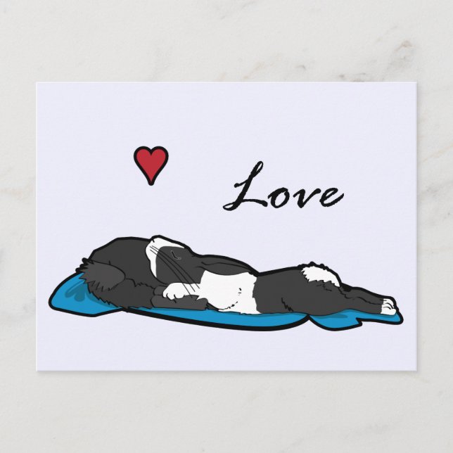 Schlafen Bunneh Postkarte (Vorderseite)