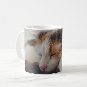 Schlafen Calico Cat Kaffeetasse