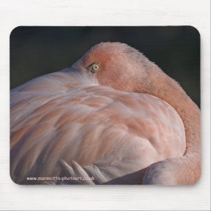 Schlafen Flamingo Mousemat Mousepad