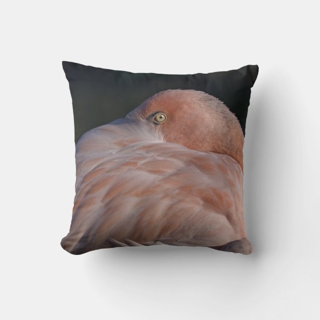 Schlafen Flamingo Pillow Kissen (Vorderseite)