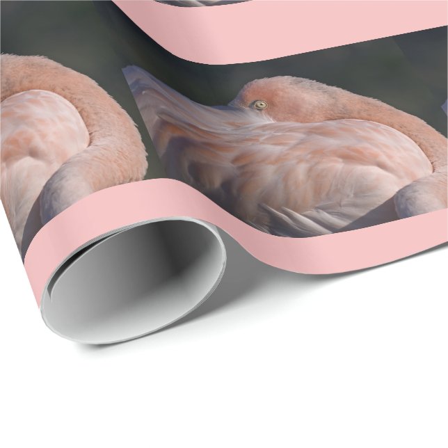 Schlafen Flamingo Wrapping Paper Geschenkpapier (Rolleneckpunkt)