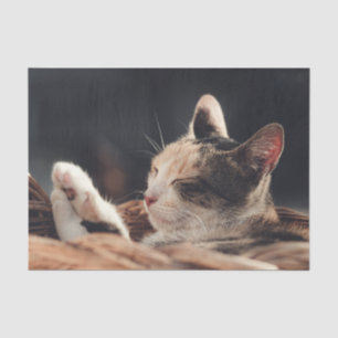 Schlafen für Kinder Seidenpapier